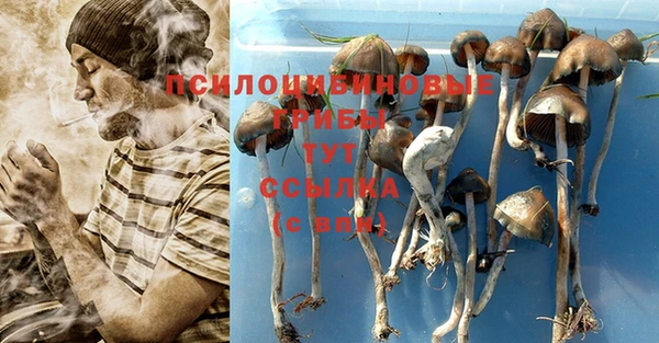 а пвп мука Зерноград