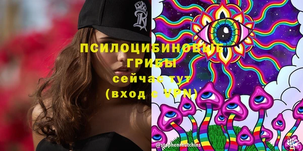 таблы Заводоуковск