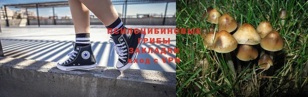 герыч Зеленокумск