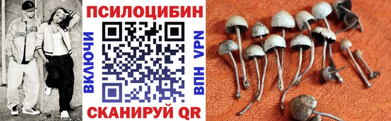 Галлюциногенные грибы ЛСД  Купить где  Калач-на-Дону 
